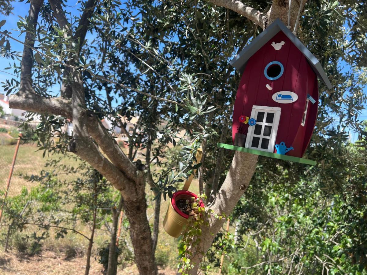 Refugio Dos Sapinhos Villa Silves Dış mekan fotoğraf